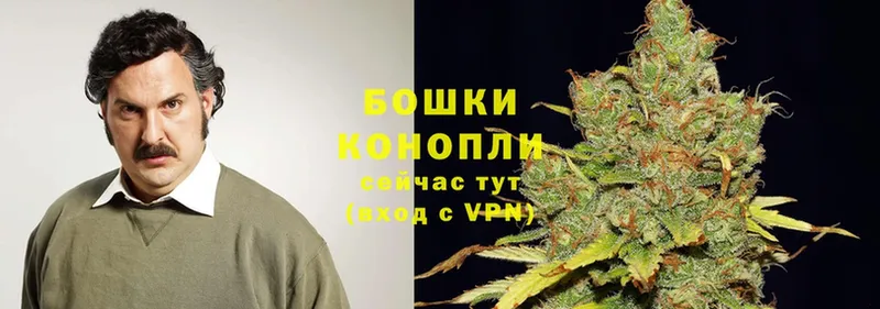 Конопля SATIVA & INDICA  гидра   Цоци-Юрт  купить наркотик 